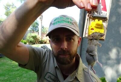 Philadelphia pest control